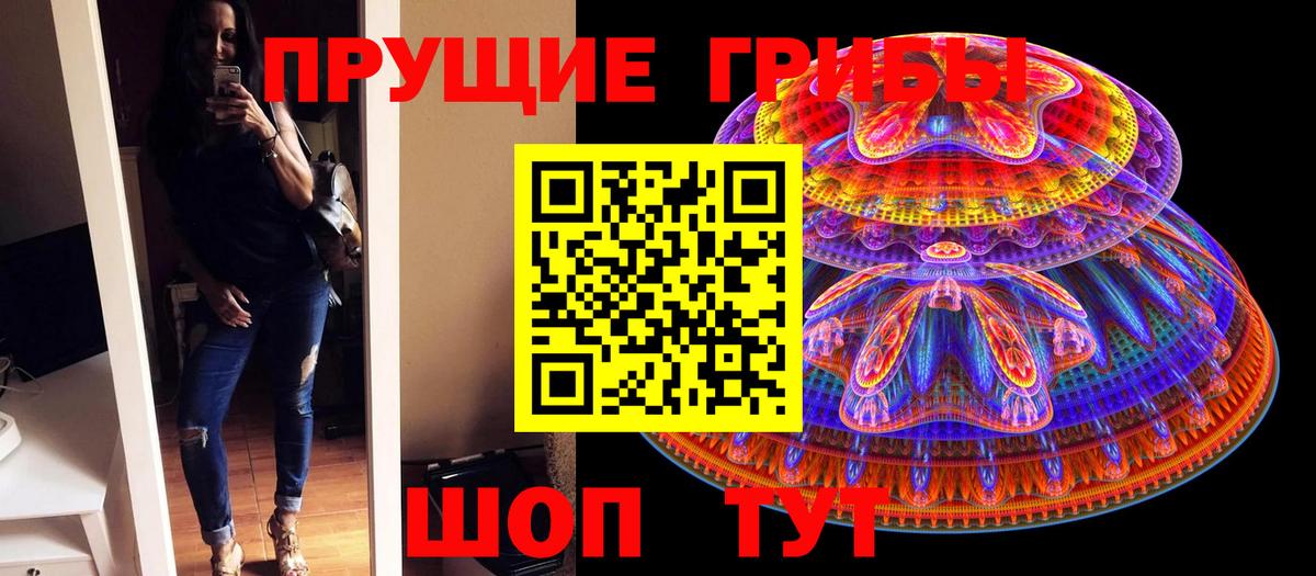Галлюциногенные грибы Magic Shrooms  продажа наркотиков  Вход с VPN  Камень-на-Оби  Псилоцибиновые грибы мицелий 