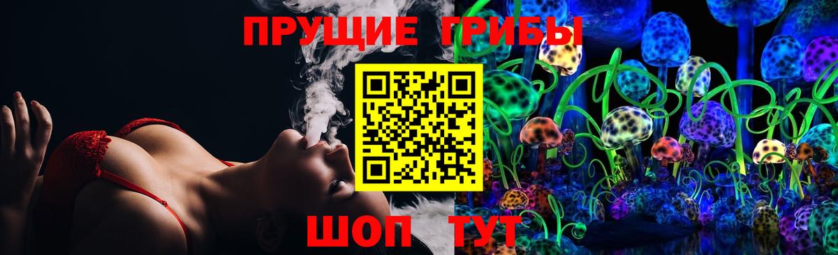 Галлюциногенные грибы Psilocybe Камень-на-Оби